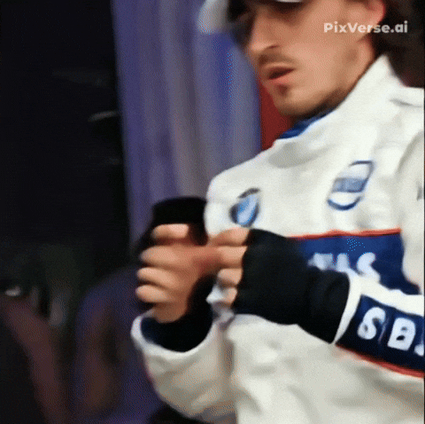 Formula 1 Team GIF