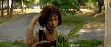Leon The Professional GIFs - Get the best GIF on GIPHY