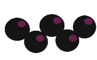 Acai Saãºde Sticker by Açaí Santa Helena