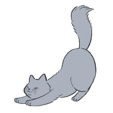 Cat Sticker