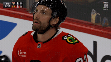 Chicago Blackhawks Hockey GIF