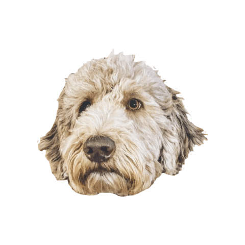 Sticker by RE/MAX Affiliates Boardwalk, Brokerage