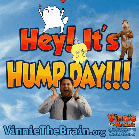 Good Day Wednesday GIF by Vinnie the Brain