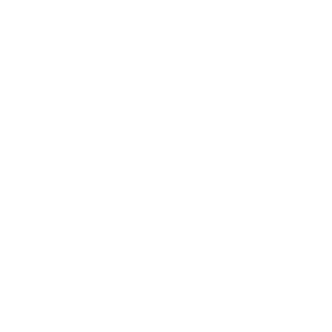 Regisathletics Sticker by regiswsoc