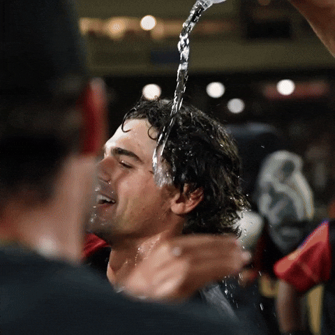 Walk Off Celebration GIF by Sacramento River Cats