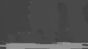 Excited Jump GIF by yuvaroo