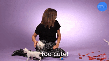 Emma Watson Cats GIF by BuzzFeed