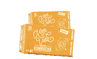 Bebida Kombucha Sticker by Komvidakombucha