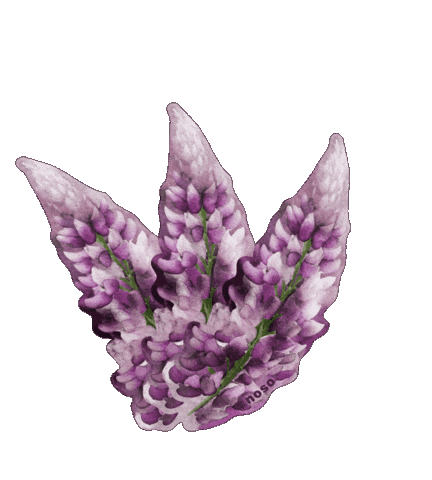 Quail Noso Sticker by nosopatches