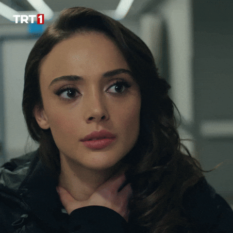 Teşkilat GIF by TRT