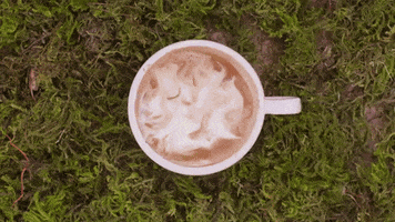 game of thrones coffee art GIF by Elite Daily