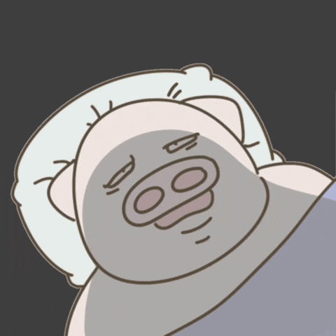Pig Sleeping GIF