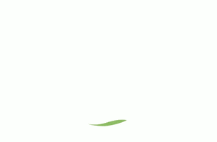 EthicAdvisor GIF