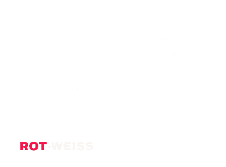 File:FC Red Bull Salzburg gegen SK Rapid Wien (2023-05-07) 37.jpg -  Wikimedia Commons