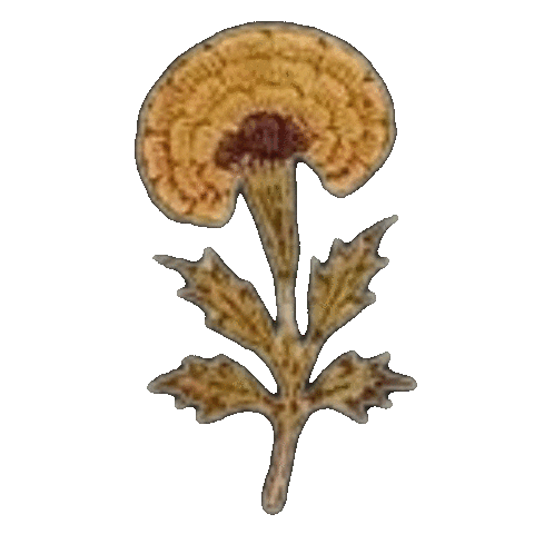 Wylder Trading Co Sticker