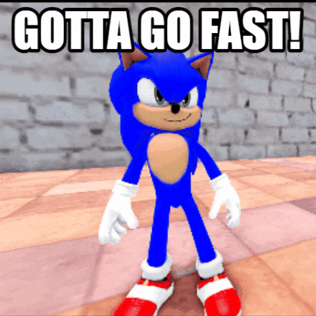 Sonic The Hedgehog Running GIF by Friendly Neighbor Records