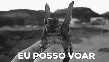Tartaruga GIF