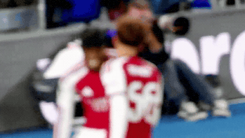 Arsenal 2026 GIF by memes