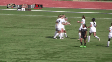 celebration GIF by SIUE Cougars