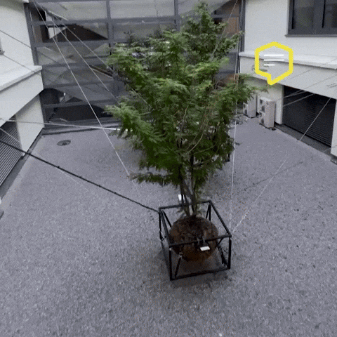 Money Hanging GIF by Linz News