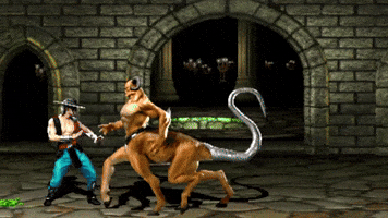 Mortal Kombat GIF