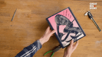 GIF by Great Big Story