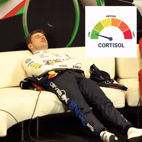 Formula 1 F1 GIF