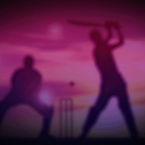 World Cup Cricket GIF by DCMS