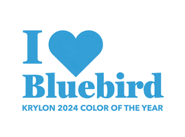 Spraypaint Bluebird GIF by Krylon Brand