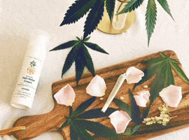 DNAVI CBD GIF