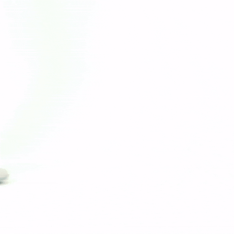 GIESSWEIN GIF