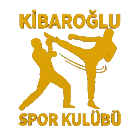 Boxing Kick Sticker by kibaroglusportgym