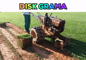 Grass Gardening GIF by Disk Grama