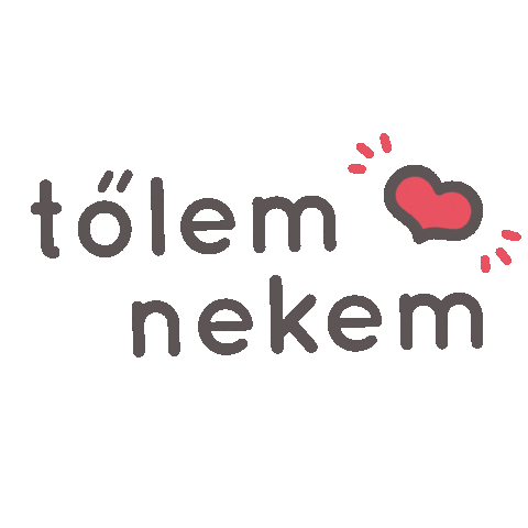 Bodonbox Sticker by Bödön Piac