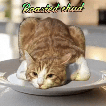 Orange Chicken GIF