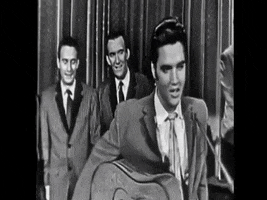King Elvis GIF by The Ed Sullivan Show
