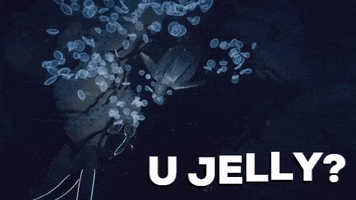 Turtle Jellyfish GIF by Beyond Blue