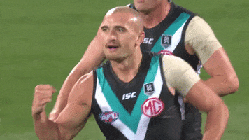 High Five Football GIF by Port Adelaide FC