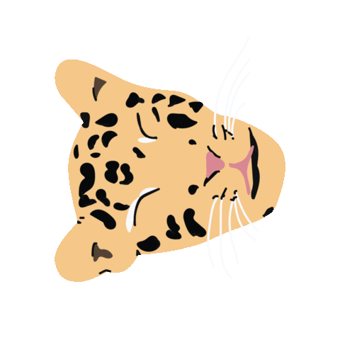Cat Sticker