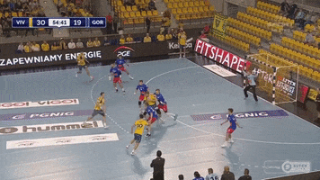 Goal Handball GIF by Superliga