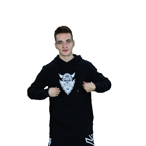 Basketball Basket Sticker by PBC Runa-basket