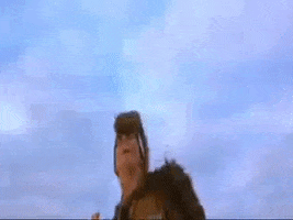 Boomerang GIF