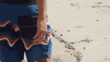 GIF by Rip Curl