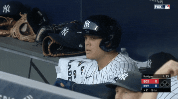 New York Yankees Water GIF by Jomboy Media