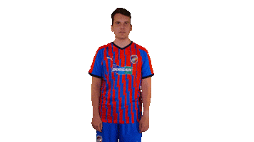 Fcvpesport Sticker by FCVP