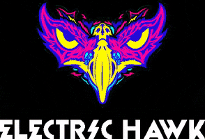 Electric Hawk GIF