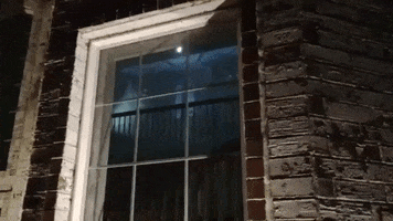 200.gif?cid=fc005b088d69024c1085dd855abf900ae90c3ead173b664c&rid=200.gif&ct=g