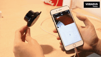Animated GIF