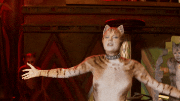 Cat Meow GIF by Cats Movie