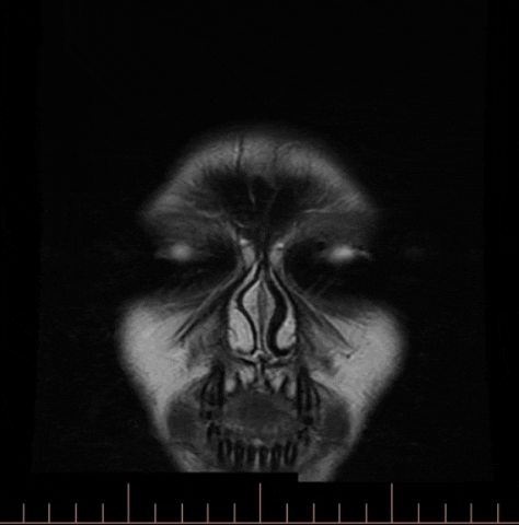 halloween omg scary skull dead GIF